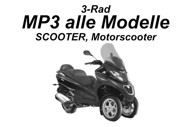 Motorradtransport bis 1200 cm³ o. 250 kg