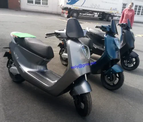 Roller Transport bunderweit bis max 160 kg oder 279 cm³