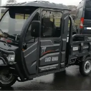 Transport Piaggio Ape, TucTuc in D